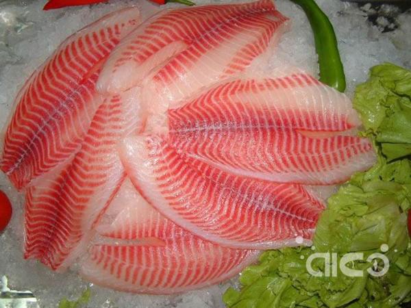 Pangasius snatches the tilapia market, but the prospect of Chinese tilapia is still bright