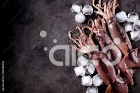 An Analysis of the Squid Market for the First Half of 2024