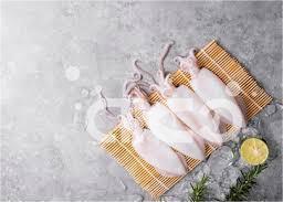 The squid catch in the central waters of Peru is expected to remain stable in the future