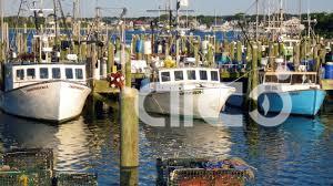 The Rise of the Emerging Big Four: Global Warming and the New Landscape of Fisheries