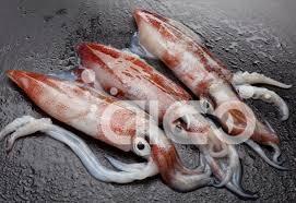Southeast Pacific squid prices rebound, global squid prices stabilize overall